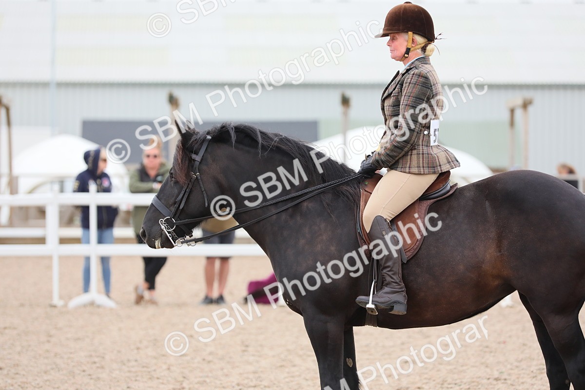 SBM_18081 - Class 316 Best Pony/Rider Combination