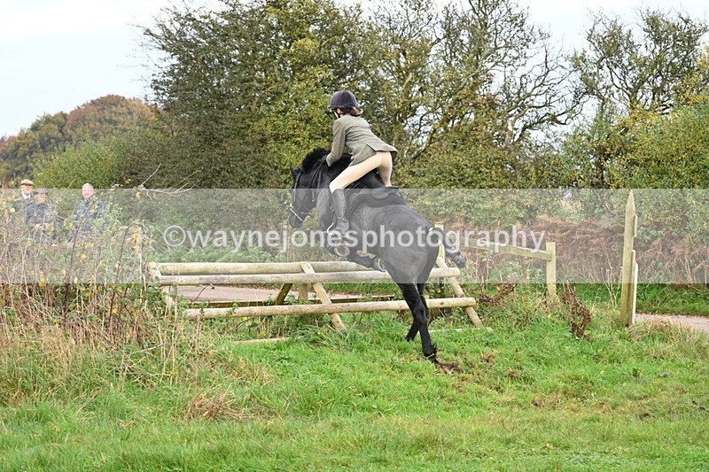 WJ7_0380 - Camera 1 & Last fence