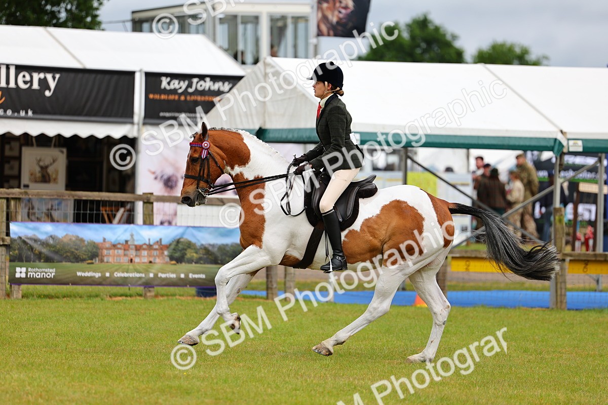SBM_02530 - Class 9-11 Side Saddle including LIHS Rising Star Ladies Show Horse