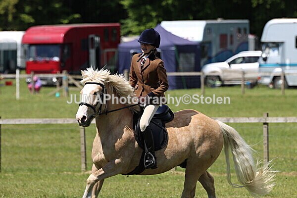 IMG_3667 - Working Hunter