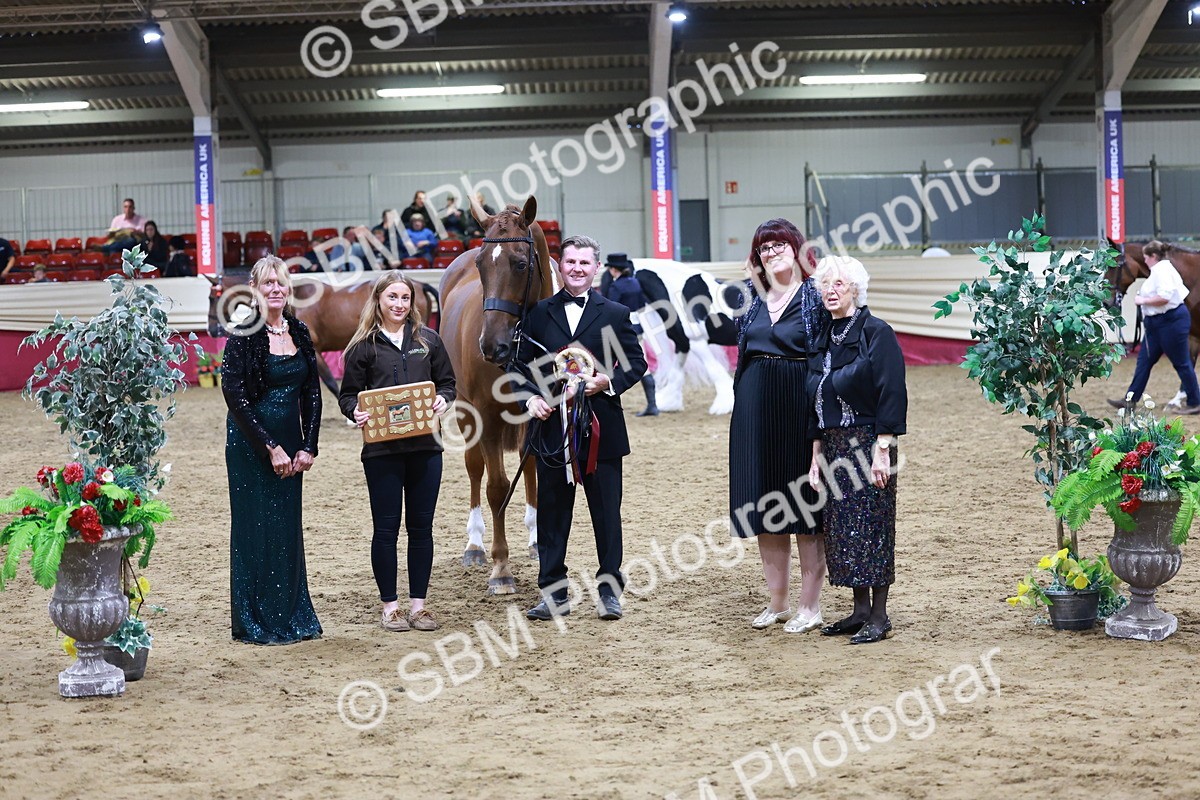 SBM_20515 - Class G - IH Large (over 148cm)Champ