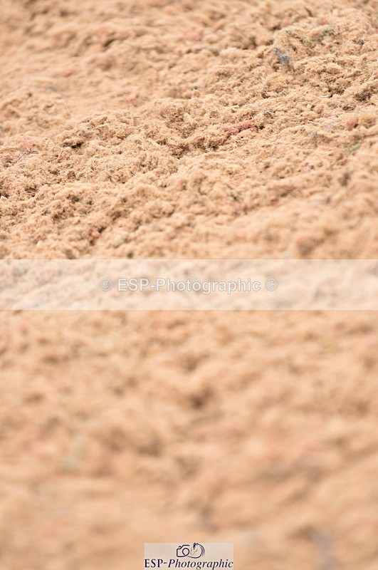 230610A-110147-02673 - Cls 23 85cm Amateur Qualifier