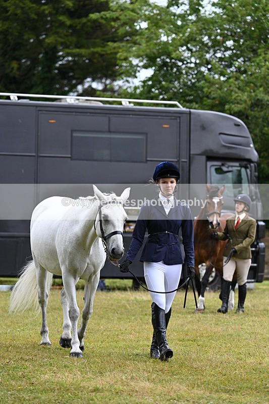 WJ7_6233 - Class 4a Prettiest Mare over 14hh