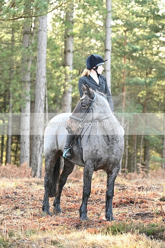 WJ7_7453 - Line 3 (no line 4 or 5)