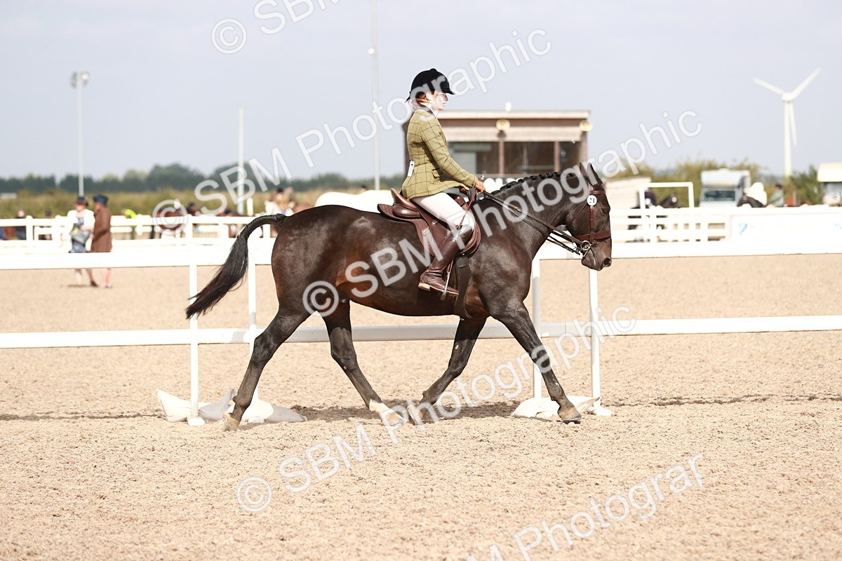 SBM_14818 - Class 212 Ridden Hunter - Small