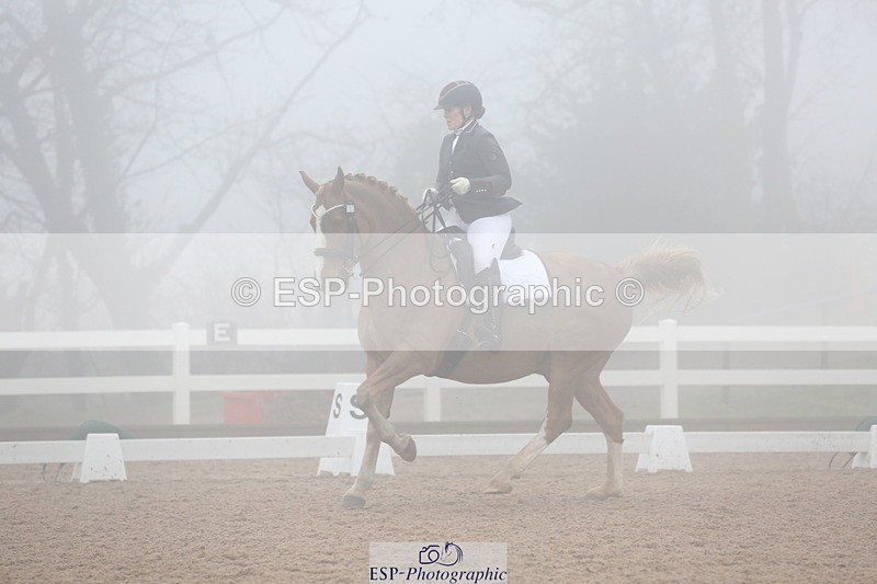 240217A-125756-02998 - 103-Ruth.Saunders-Dizzy.Rascal.VII