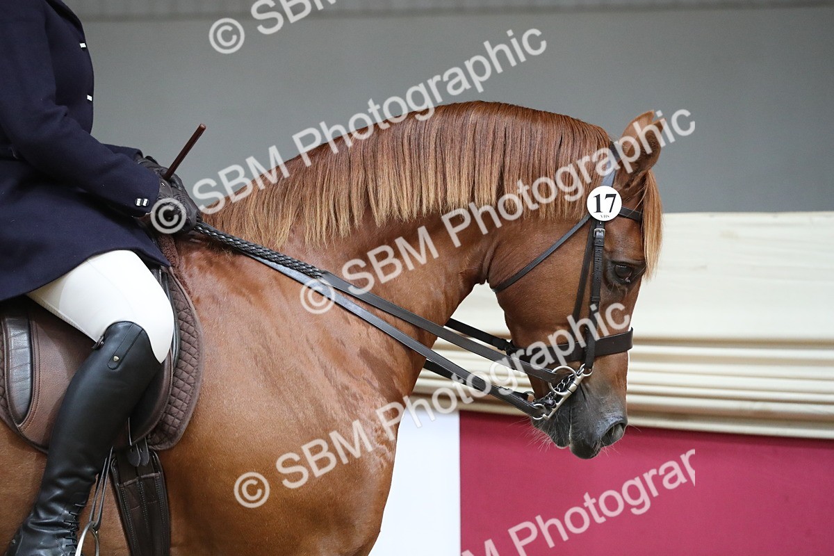 SBM_16254 - Class 502 M&M Ridden Supreme Final