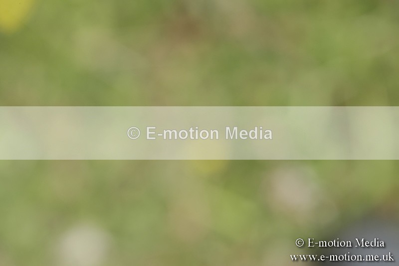 BVR160717-1423 - Class 3 Dressage 16/07/17