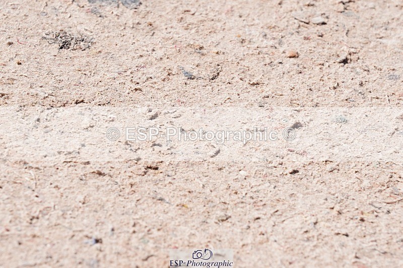 250427-132836-16521 - Cls 8 - 2 Star Medium Tour