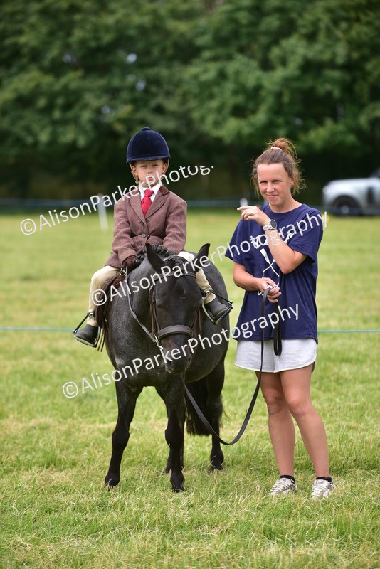 20260614-3705 - Class 15 - Prettiest Mare