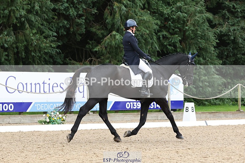 241024-152223-04819 - 232-Alison.Lidstone-MIDNIGHT.ROLLERCOASTER