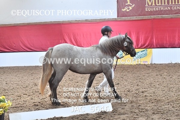 JAC_5646 - 6 Glenmuir Niamh