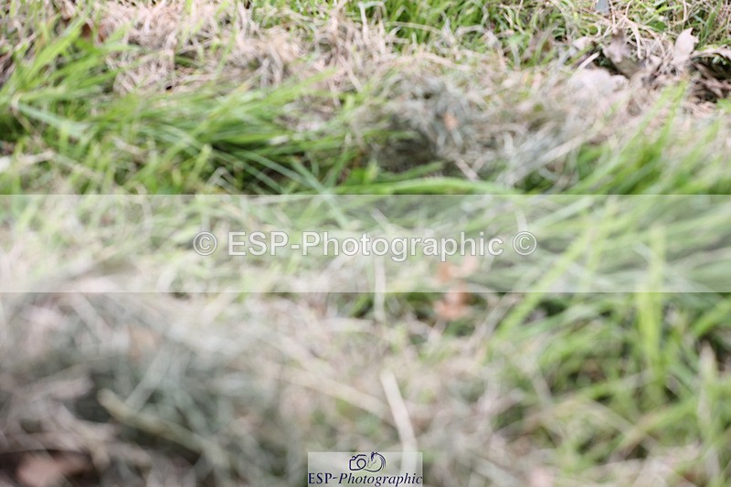 240825X-170259-37854 - 80cm XC 16.30 to 17.30