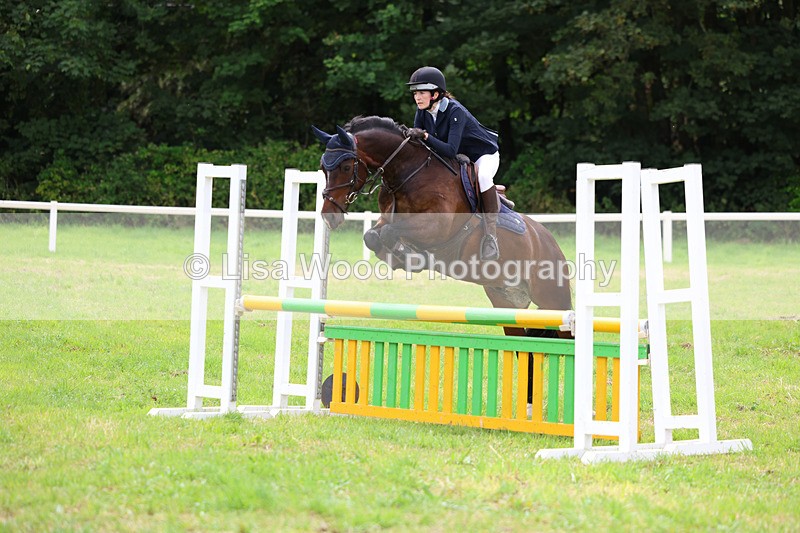 3E7A7149 - Class 5: Senior British Novice/90cm open