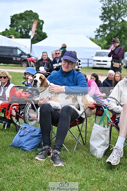 250525A-104536-15771 - Western Counties Crowds