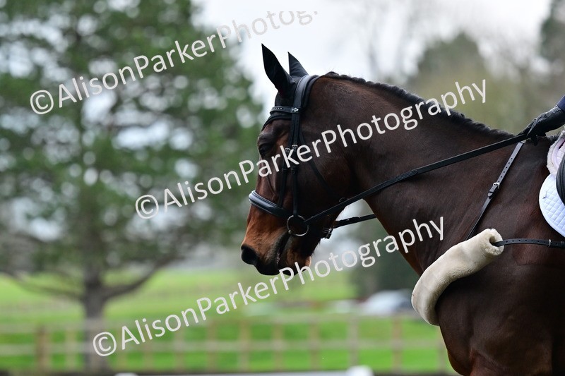 20260125-3878 - Class 12 - Novice