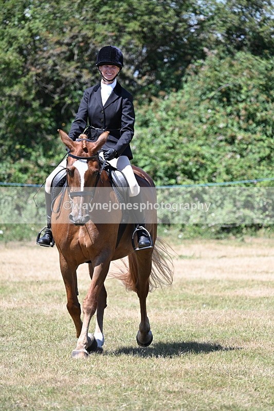 WJ7_2990 - Class 7 Riding Club Show Horse