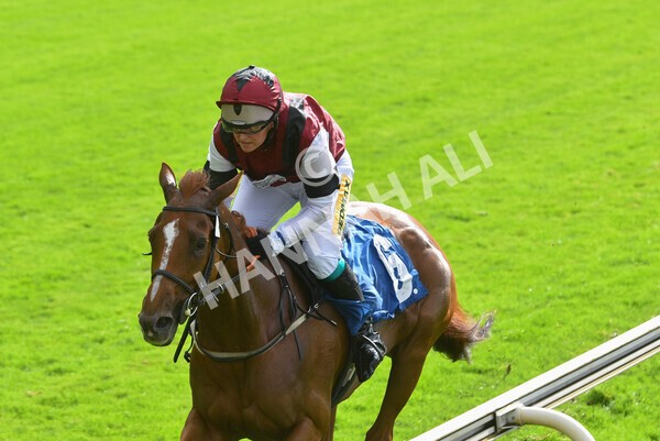 yr24092021r1-157 - Race 1 1.10pm Ernest Cooper Macmillan Ride of Their Lives