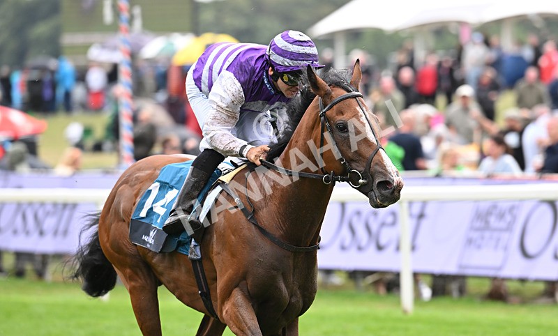 200826-165 Mia Fantasia - Race 6 16.45pm Mews Hotel Ossett EBF Stallions Nursery Handicap