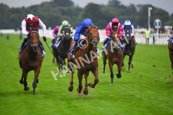 yr21082021r3-11 - Race 3 3.00pm Sky Bet City of York Stakes