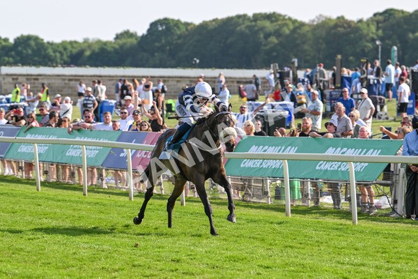 130625-Race 7-Dawn Of Liberation-0157 - Race 7 5.20pm Irish Thoroughbred Marketing Handicap