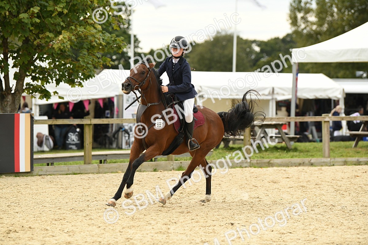 SBM_75704 - Supreme Championship