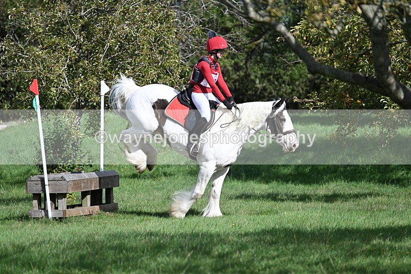 WJ7_8933 - Time 11:10 to 11:53