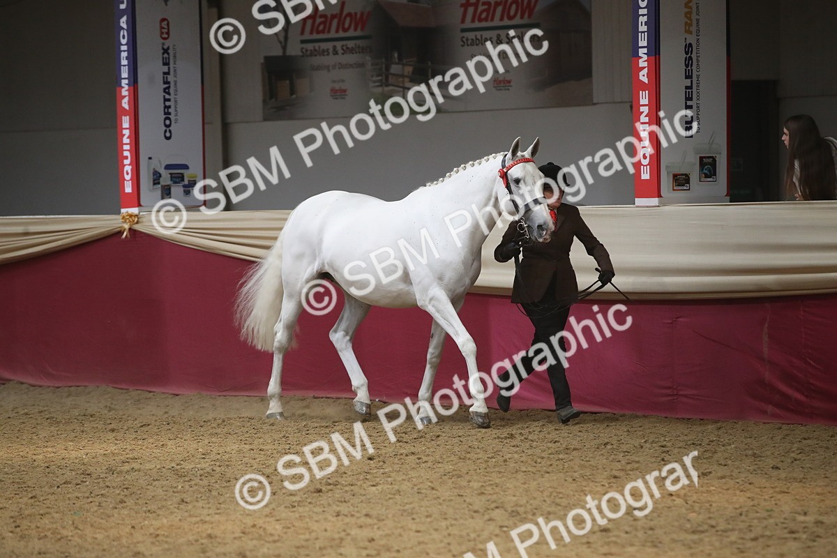 SBM_05482 - Class 9R - Regional IH Pre-Vet