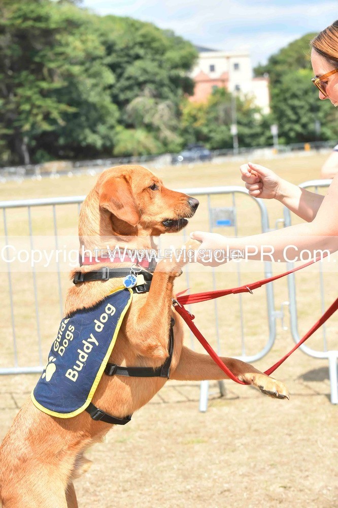 SH4_0232 - Dog show.