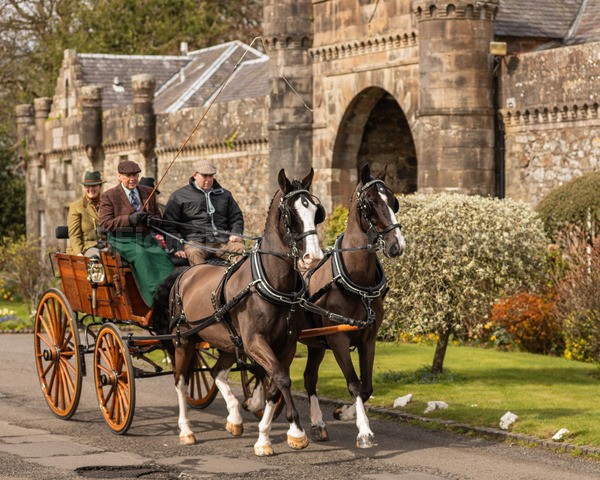 Anne -74 - Troon Easter Monday Drive 2026