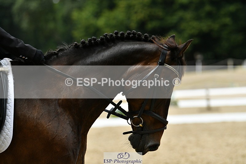 250718A-122010-01416 - 057-Maggie.Inglis-Hansard.Magical.Kenny