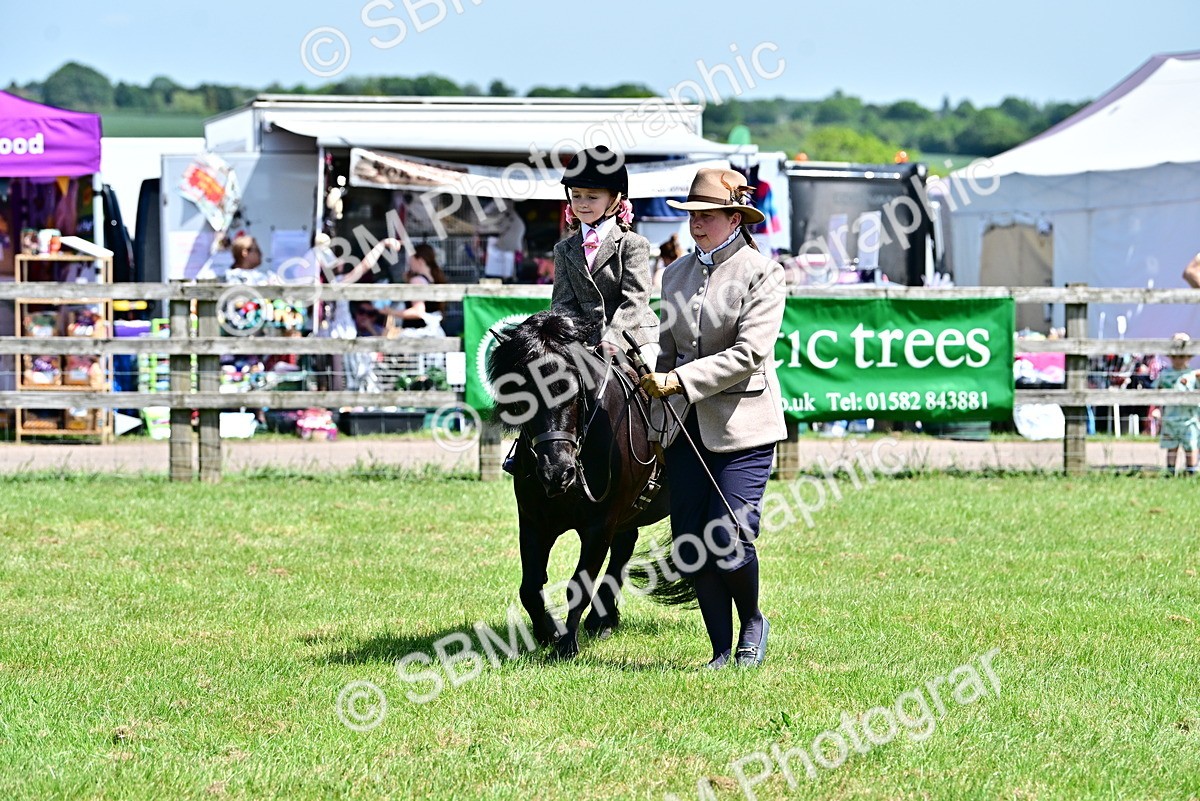 SBM_05866 - Class 59-60 - TSR M&M  Lear Rein and First Ridden Amateur of the year