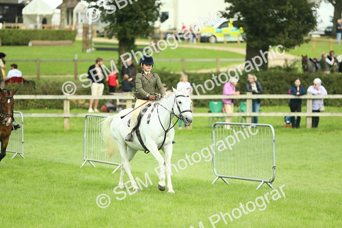 SBM_42254 - S29 - Novice & Newcomers Working Hunter Pony