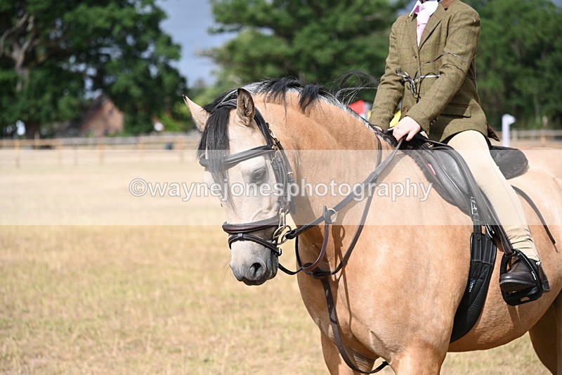 WJ6_7581 - Class 9 Tack and Turnout