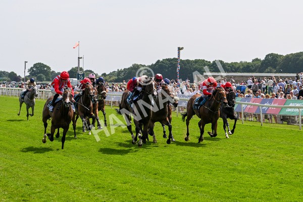 130625-Race 3-Easy Peeler-9013 - Race 3 3.00pm British EBF Supporting Racing With Pride Fillies' Handicap