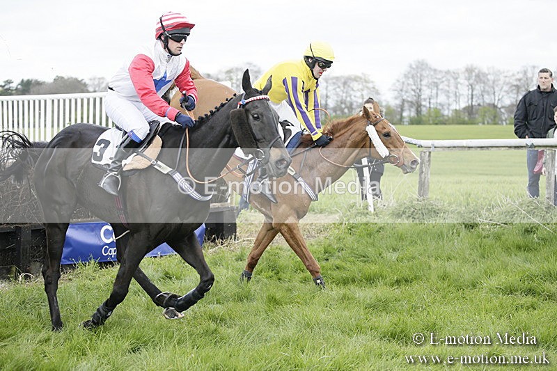 PtP 170417 34 - Old Berks Point-to-Point Lockinge 17/04/17