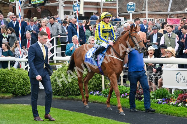yr13052022r2-1 - Race 2 2.25pm Oaks Farm Stables Fillies' Stakes (registered as the Michael Seely Memorial Stakes)