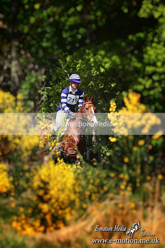 BE 110525  2562a - Equestrian