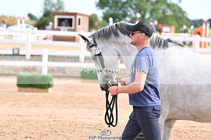 240717A-165819-03581 - Trot Up 4pm to 5pm
