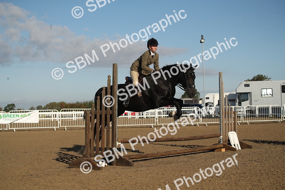 SBM_11570 - Class 502 - Riding Club Horse