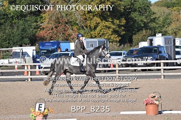 BPP_8235 - SHORT ARENA