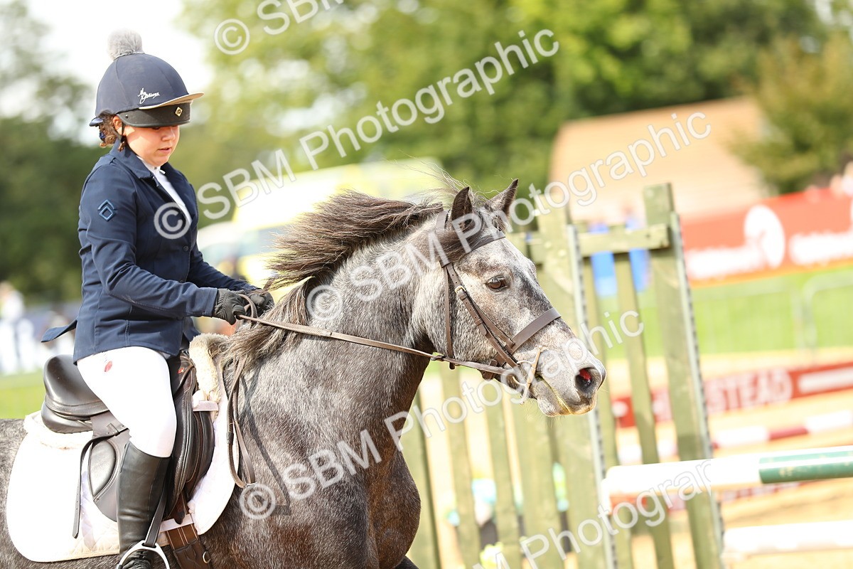 SBM_67182 - J17 - Junior Pony 80cm Championship
