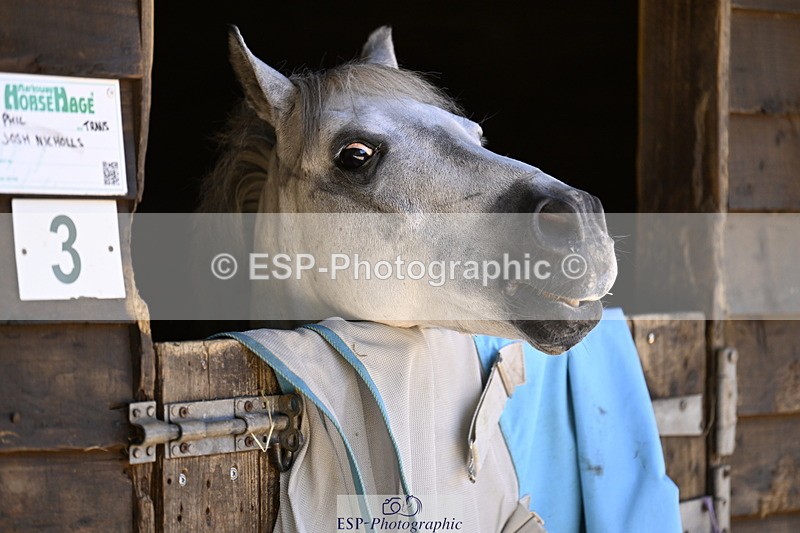 240728B-115343-00349 - Sunday Stable Shots and Fancy Dress