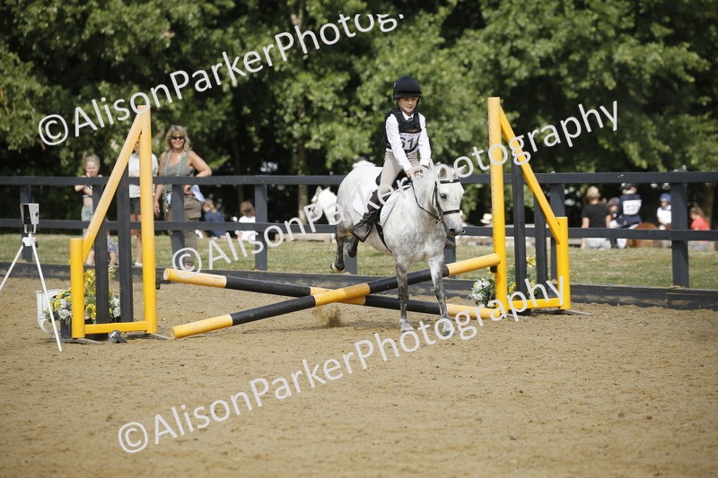 20250622-3767 - 50cm