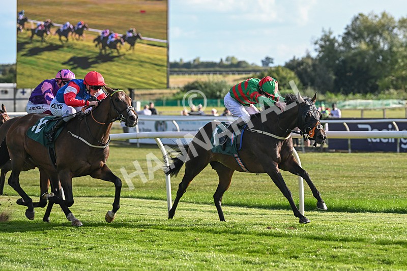 090925-Race 7-Original Thinker-9678 - Race 7