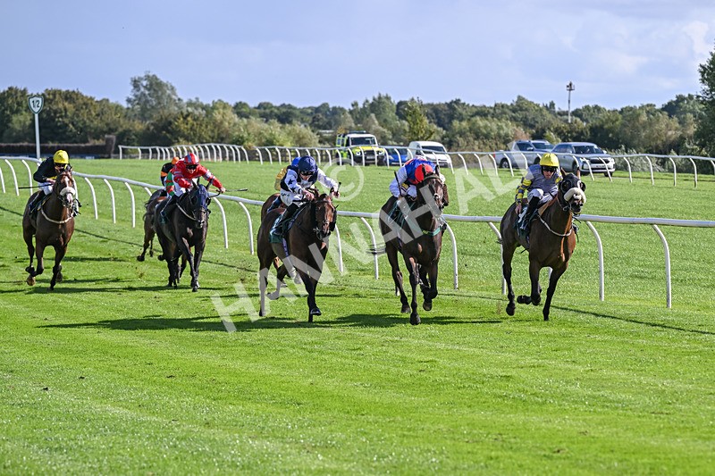080926-Race 4-Kings Merchant-2491 - Race 4 3.36pm Fifth Regiment Royal Artillery Handicap (Div II)