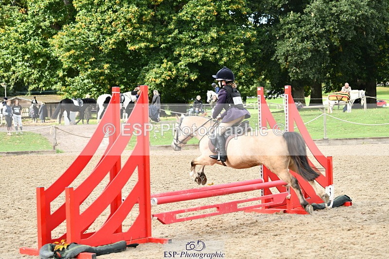 251004A-121923-00988 - Classes 4 & 5 50cm