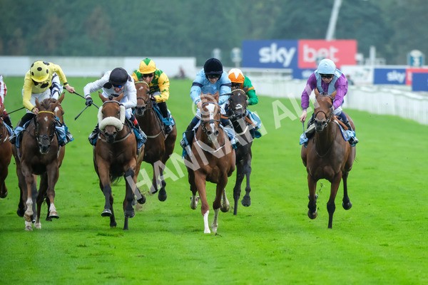 080925-Race 6-Rhapsody-9595 - Race 6 5.00pm Sky Bet Build A Bet Fillies' Handicap