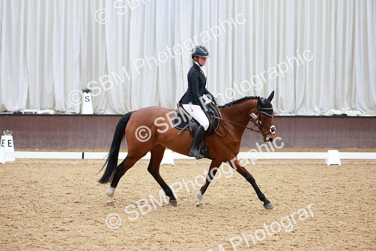 SBM_003334 - Class 11 - Novice 2