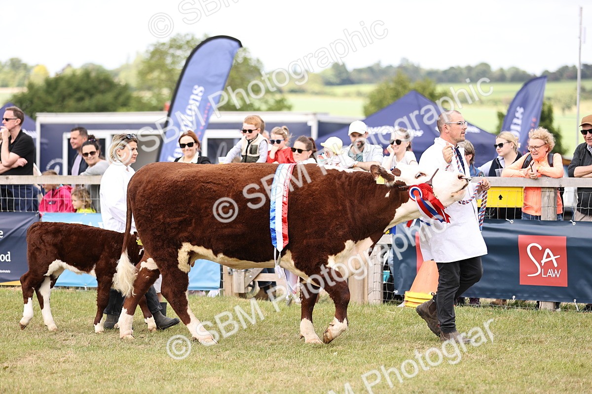 SBM_16872 - Grand Parade